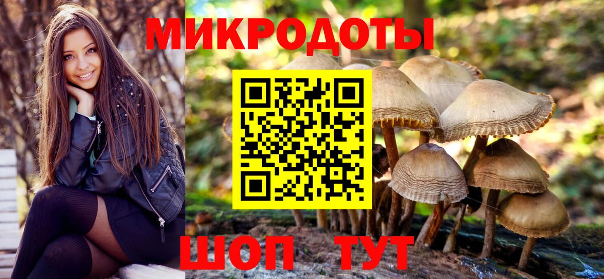 Галлюциногенные грибы Psilocybine cubensis Зеленогорск