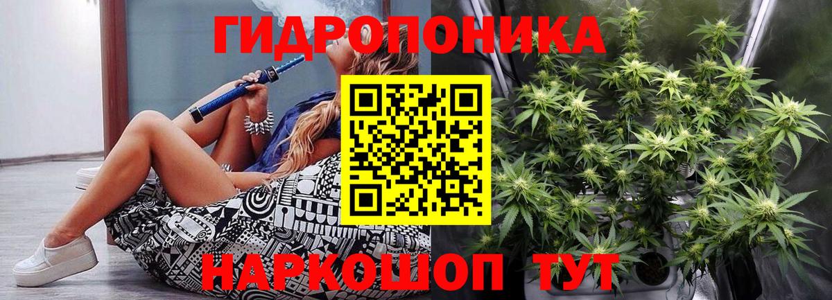 Зеленогорск  МАРИХУАНА планчик  Вход с VPN  МАРИХУАНА сатива  Марихуана индика 